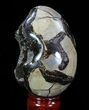 Septarian Dragon Egg Geode - Black Crystals #88519-1